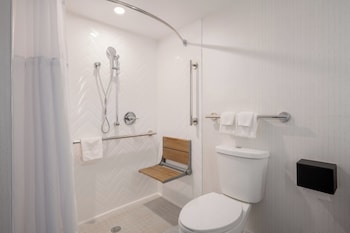 Standard Room, 1 King Bed, Accessible (Roll-In Shower)