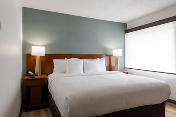 Standard Room, 1 King Bed, Non Smoking
