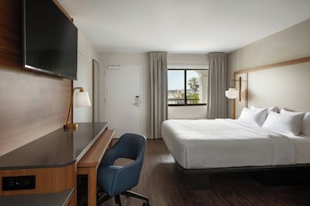 Room, 1 King Bed with Sofa bed