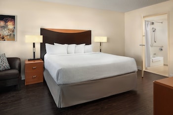 Room, 1 King Bed with Sofa bed (Mobility Accessible, Tub)