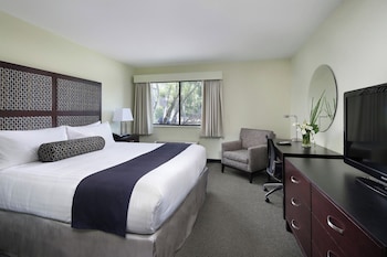 Deluxe Room, 1 King Bed