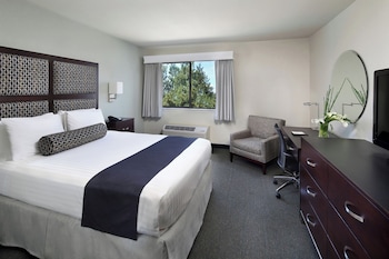 Deluxe Room, 1 Queen Bed
