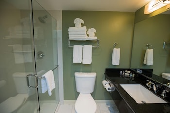 Deluxe Room, 1 King Bed