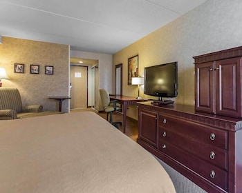 Business Room, 1 King Bed, Non Smoking