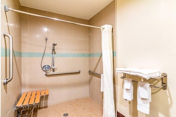 Standard Room, 1 King Bed, Accessible, Non Smoking (Roll-In Shower)