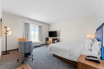 Room, 1 King Bed, Refrigerator & Microwave
