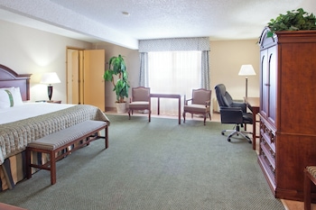 Suite, 1 King Bed (Additional Living Area)