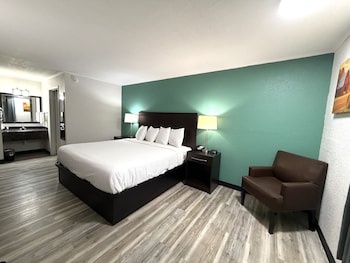 Room, 1 King Bed, Mobility Accessible, Non Smoking (Roll-in Shower)