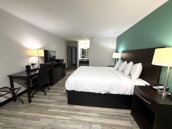 Room, 1 King Bed, Mobility Accessible, Non Smoking (Roll-in Shower)