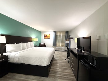 Room, 1 King Bed, Mobility Accessible, Non Smoking (Roll-in Shower)