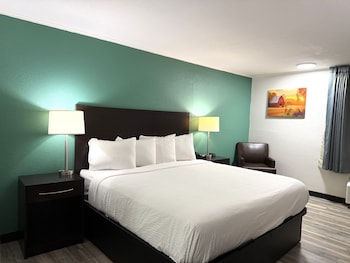 Room, 1 King Bed, Mobility Accessible, Non Smoking (Roll-in Shower)