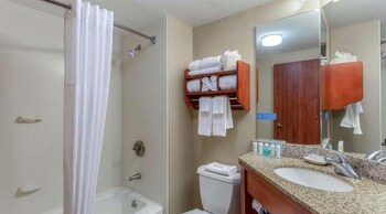 Classic Suite, 1 King Bed with Sofa bed, Non Smoking