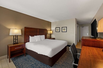 Room, 1 King Bed, Non Smoking, Pool View (Upgrade)
