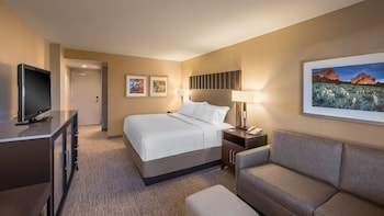 Premium Room, 1 King Bed with Sofa bed