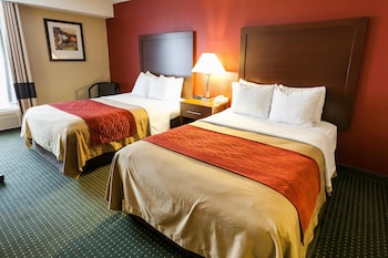 Standard Room, 2 Double Beds, Non Smoking