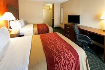 Standard Room, 2 Double Beds, Non Smoking
