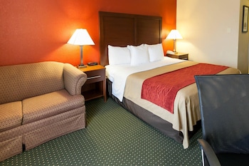 Standard Room, 1 King Bed, Non Smoking