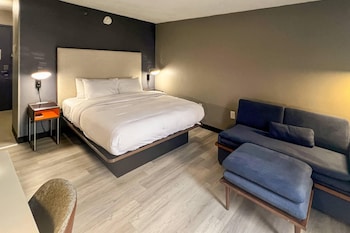 Standard Room, 1 King Bed, Non Smoking