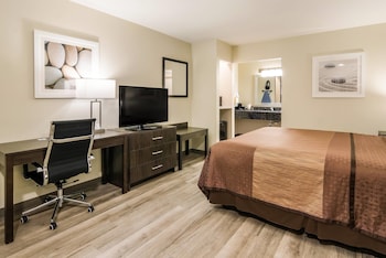 Standard Room, 1 King Bed, Smoking