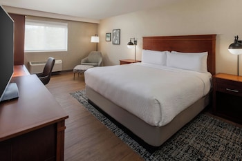 Room, 1 King Bed