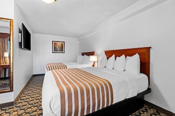 Standard Room, 1 Double Bed, Accessible, Non Smoking