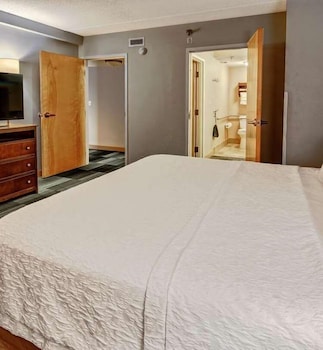 Suite, 1 King Bed, Non Smoking