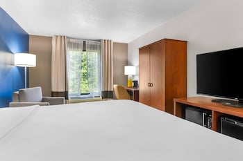 Standard Room, 1 King Bed, Non Smoking