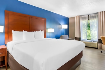 Standard Room, 1 King Bed, Non Smoking