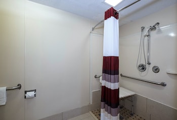 Deluxe Room, 1 King Bed, Accessible, Non Smoking (Roll-In Shower)