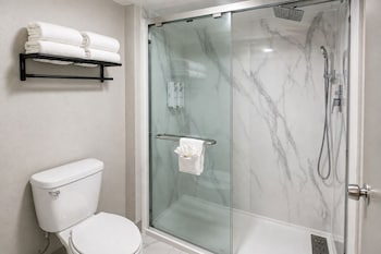 Room, 1 King Bed, Non Smoking (Walk-In Shower)