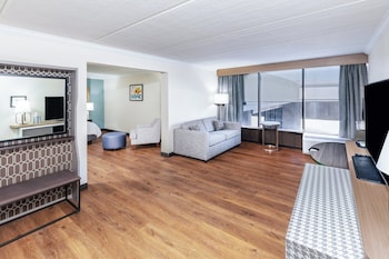 Suite, 1 King Bed