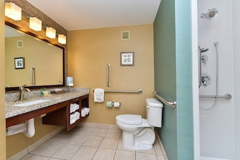 Standard Room, 1 King Bed, Roll-in Shower (Mobility Accessible)