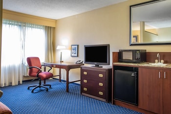 Room, 1 King Bed, Accessible, Non Smoking