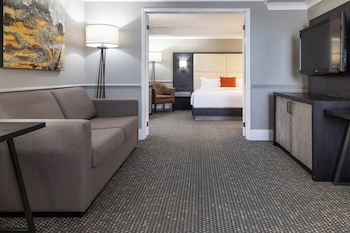 Suite, 1 Bedroom, River View