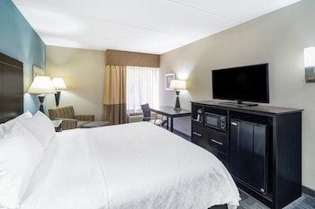Standard Room, 1 King Bed (LEISURE)