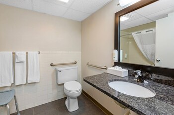 Room, 1 King Bed, Accessible, Non Smoking
