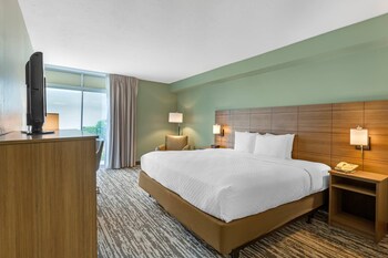 Room, 1 King Bed, Accessible, Non Smoking