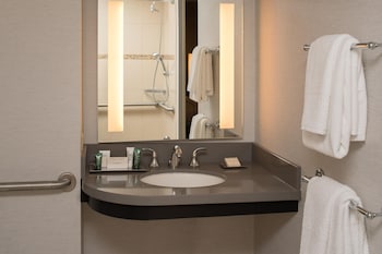 Room, 1 King Bed, Mobility Accessible, Bathtub (Mobility & Hearing, Roll-in Shower)