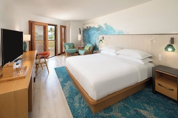 Room, 1 King Bed