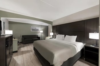 Standard Room, 1 King Bed with Sofa bed, Non Smoking