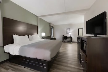 Standard Room, 1 King Bed, Mobility Accessible, Non Smoking
