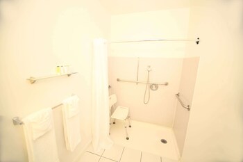 Room, 1 Queen Bed, Accessible, Non Smoking (Mobility, Roll-In Shower)