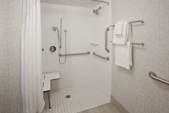 Standard Room, 1 King Bed, Accessible (Mobility, Roll-In Shower)