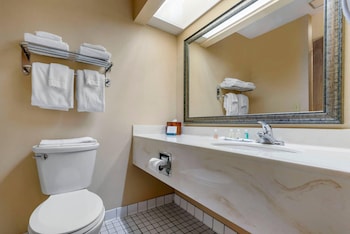 Room, 1 King Bed, Accessible, Non Smoking