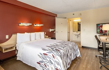 Standard Room, 1 King Bed, Accessible, Non Smoking (Roll-In Shower)