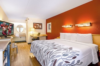 Superior Room, 1 King Bed, Non Smoking
