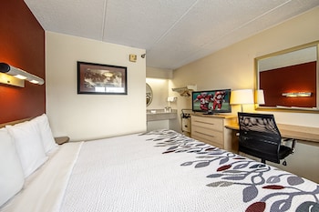 Standard Room, 1 King Bed, Smoking