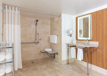 Suite, 1 King Bed with Sofa bed, Roll-in Shower (Indigo, Roll-In Shower)