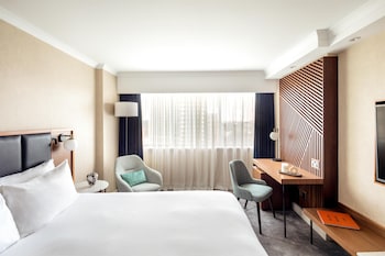 Room, 1 King Bed