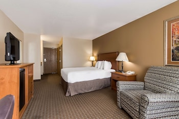 Standard Room, 1 Queen Bed, Accessible, Refrigerator & Microwave